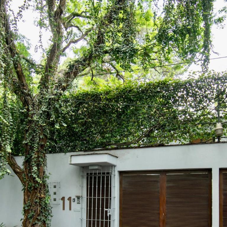 Casa Coyote, Garden Oasis, 1 Block from Coyoacán - Apartment - 99