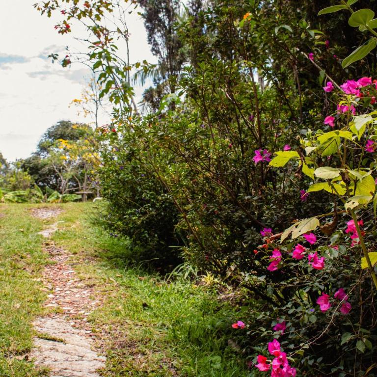 Cozy Country House with Spacious Gardens - Apartamento de 3 dormitorios - 17