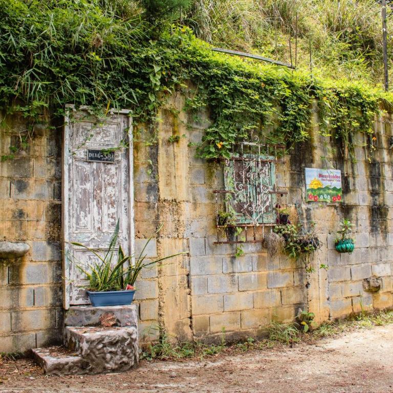 Cozy Country House with Spacious Gardens - Apartamento de 3 dormitorios - 4