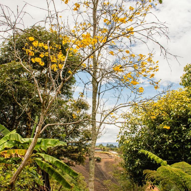 Cozy Country House with Spacious Gardens - Apartamento de 3 dormitorios - 20