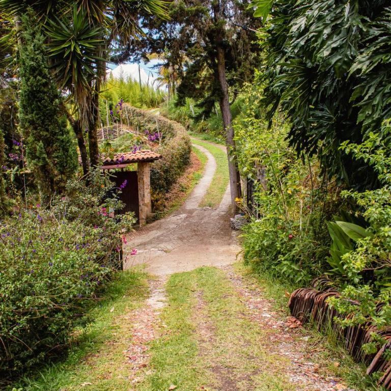 Cozy Country House with Spacious Gardens - Apartamento de 3 dormitorios - 19