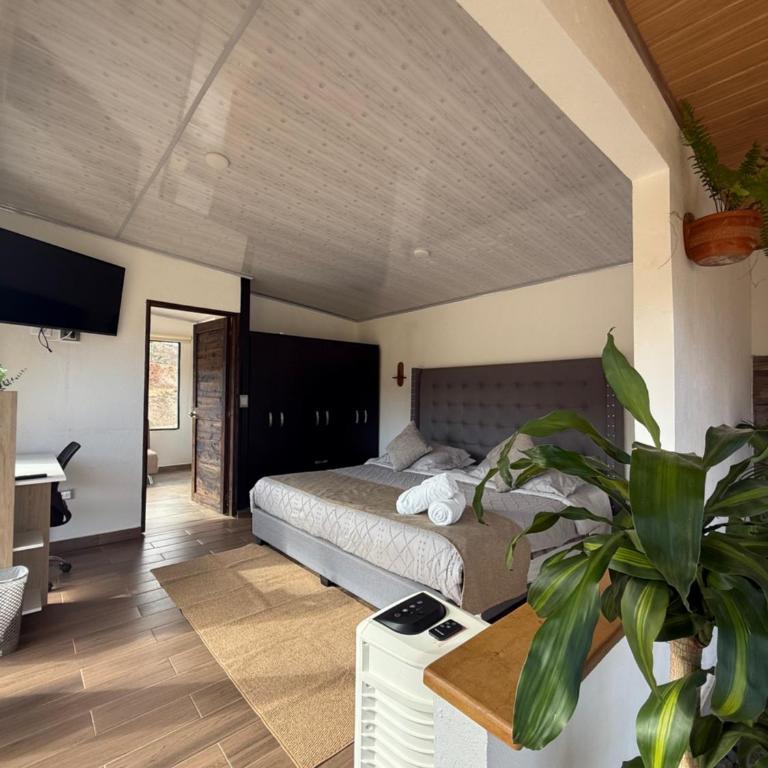 Glamping Eclipse Mirador Jarana Villa de Leyva - Casa con 1 dormitorio - 9
