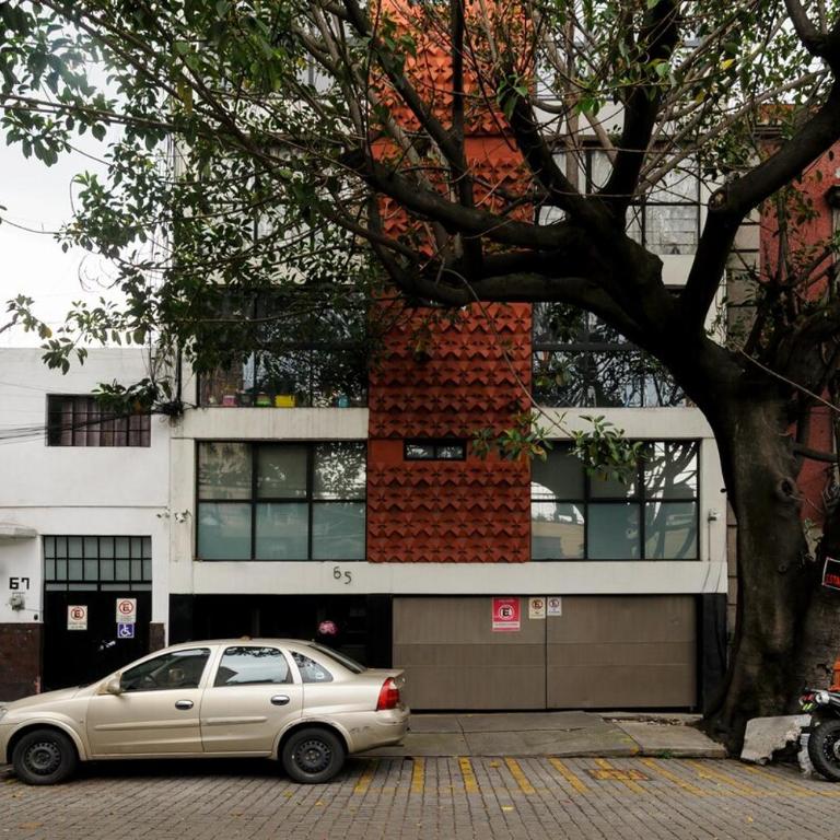 Apartment in the Heart of Coyoacán - Apartment mit 3 Schlafzimmern - 6