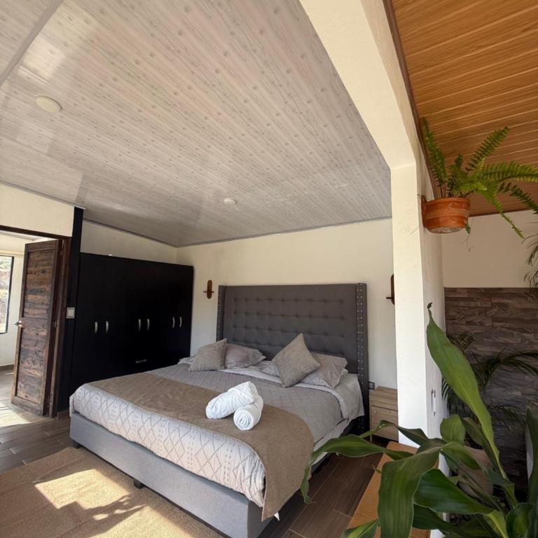 Glamping Eclipse Mirador Jarana Villa de Leyva - Casa con 1 dormitorio - 4