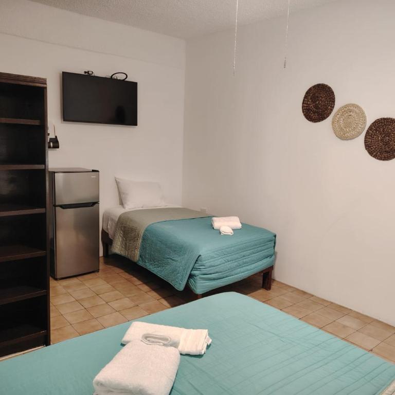 Cabo Tortuga Hotel Boutique - Habitación Doble Económica - 1 o 2 camas - 1