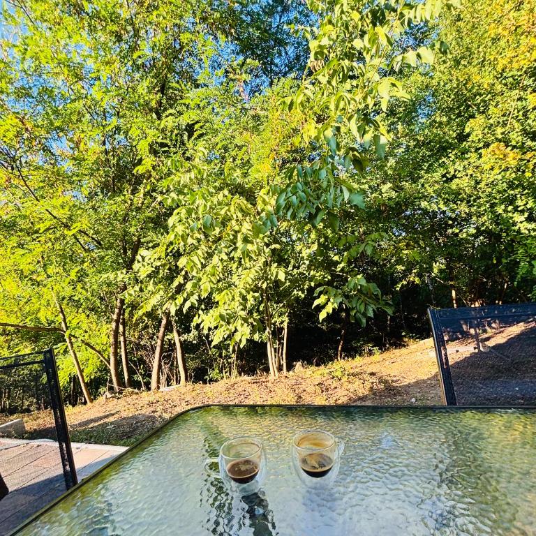 Relax house - Šumska vila - Kuća sa 1 Spavaćom Sobom - 14