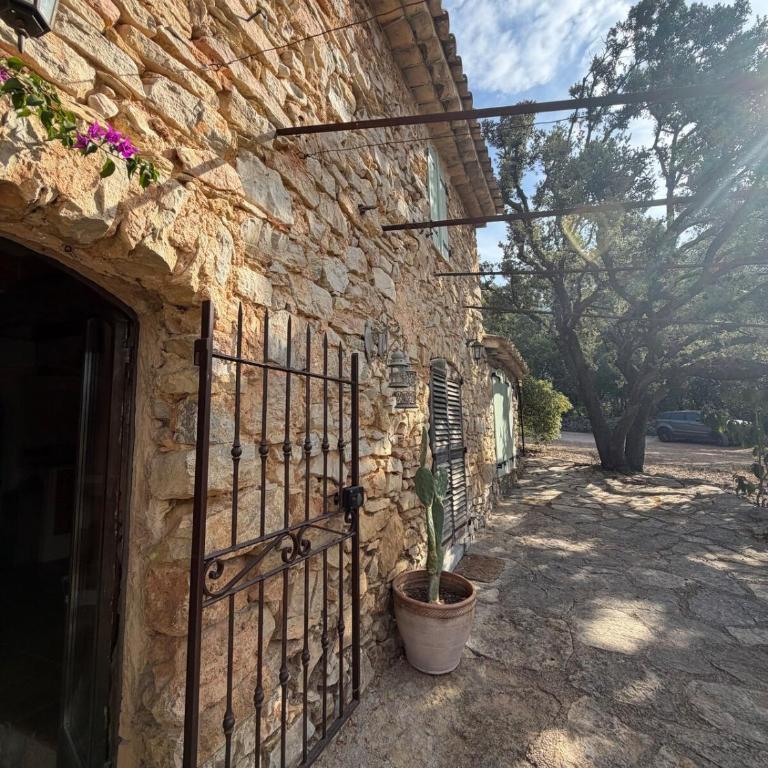 La Bergerie havre de charme au cœur de la Provence - Maison 1 Chambre - 5