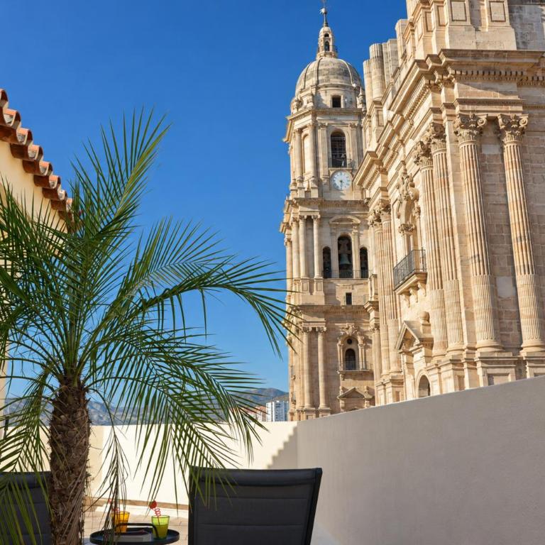 Ático con terraza privada frente a la Catedral - Apartamento - 6