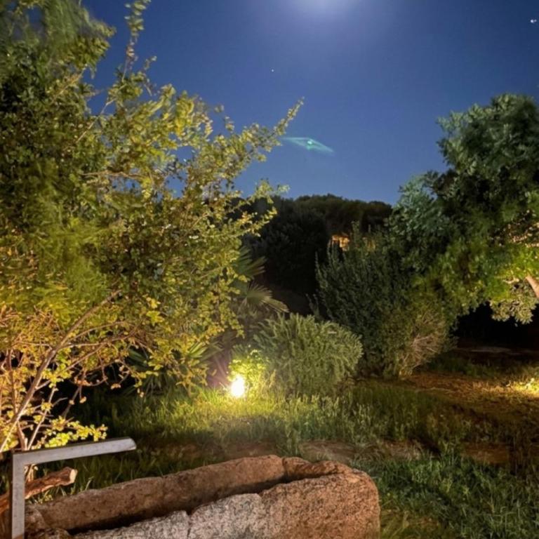 Favignana Exclusive - Villa Giardino Camarò - Villa de 3 dormitorios - 38