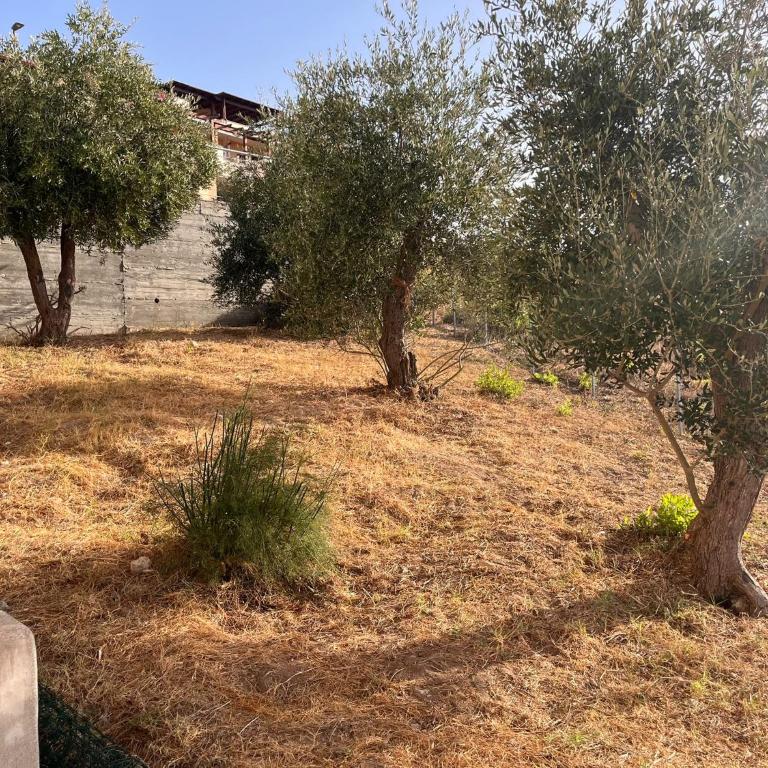 Sa domu de su mari - Casa con 2 Camere da Letto - 20