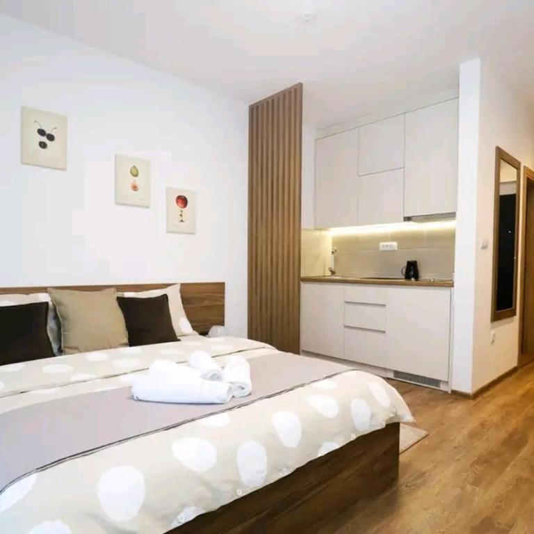 Apartman FILIP - Apartman sa 1 Spavaćom Sobom - 2