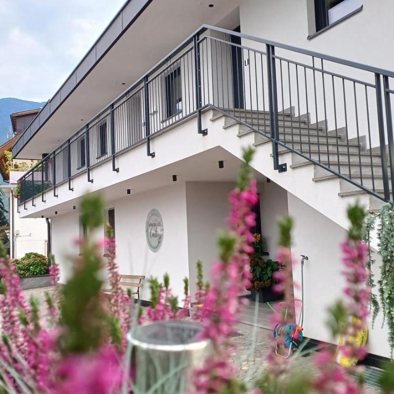 Bike Apartments Curti - Waldgrün - Apartamento de 1 dormitorio con vistas al jardín - 1