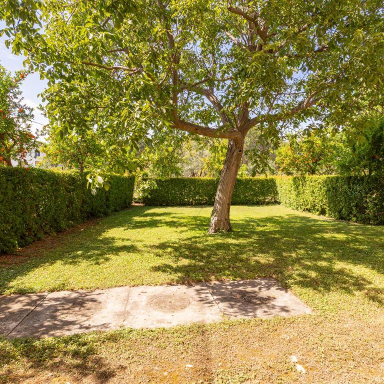 Podere Terrerosse con piscina nell'entroterra di Rimini - Villa con Piscina Privata - 49