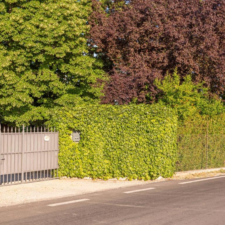 Podere Terrerosse con piscina nell'entroterra di Rimini - Villa con Piscina Privata - 61