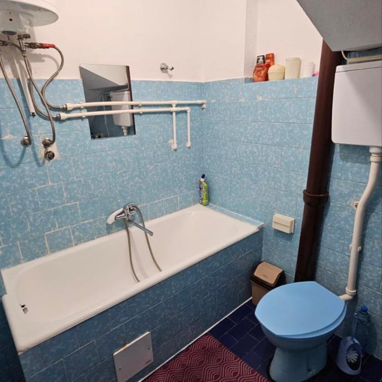Zeleni Mir - Apartman - Prizemlje - 2
