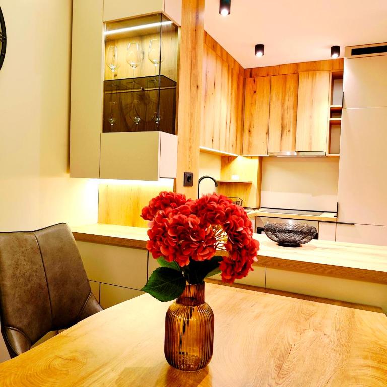 1BR Apartment, Terrace, City & Sea View, Parking - Apartman sa 1 Spavaćom Sobom - 6
