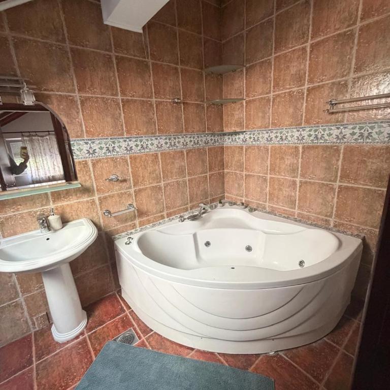 A spacious apartment in a house in a quieter part of Belgrade - Appartement 2 Chambres - 10
