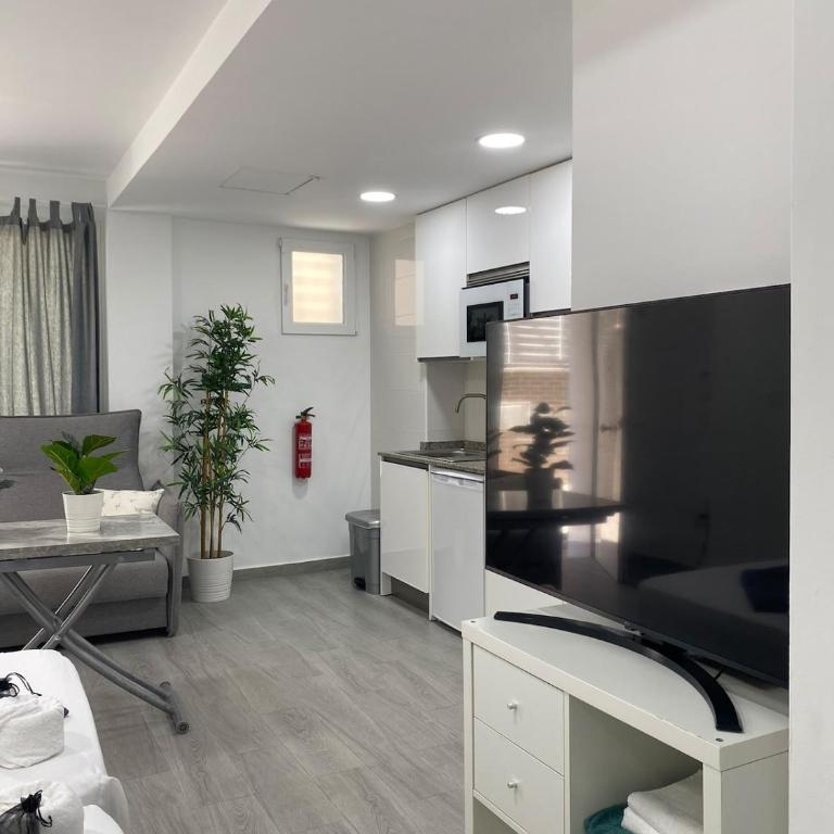 Balneario Pedregalejo Loft C - Appartamento con 1 Camera da Letto - 17