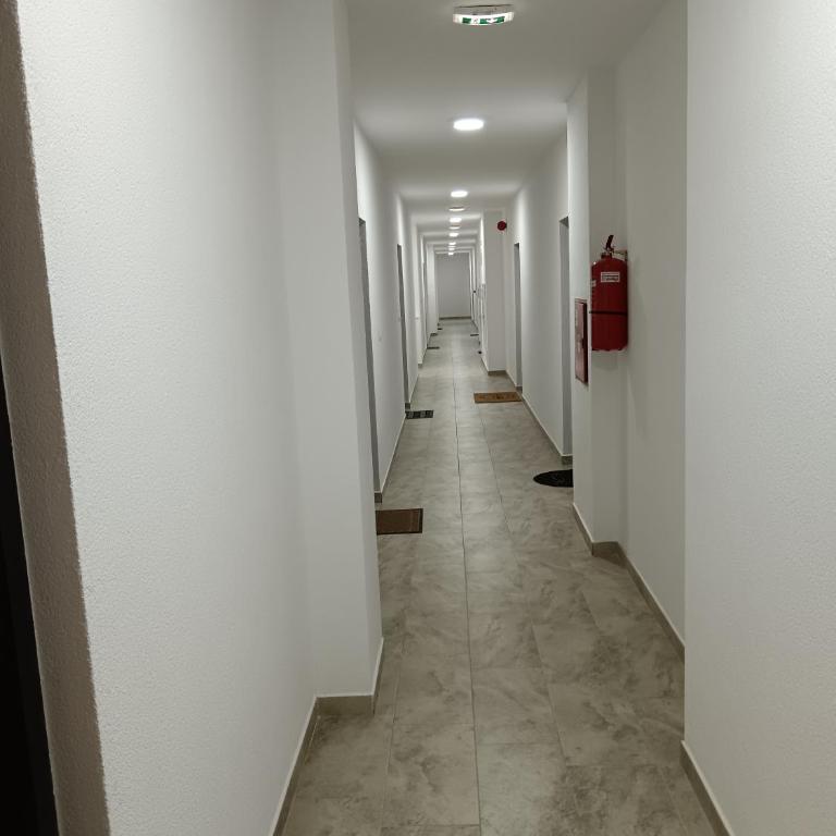 Apartmani Banja Koviljaca - Appartement 1 Chambre - 4
