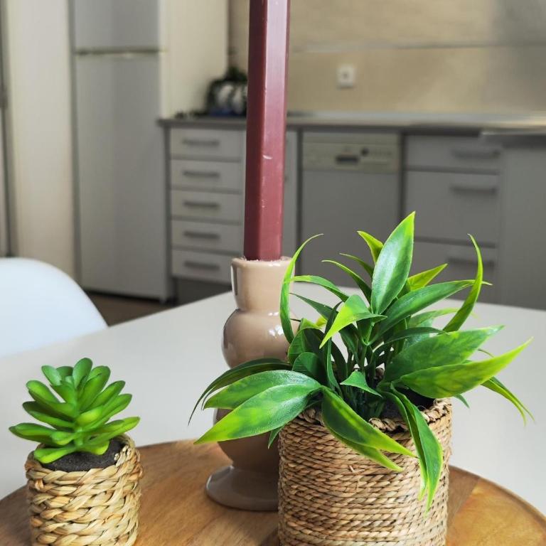 Patios de Rivas y Palma - Apartamento de 2 dormitorios - 10