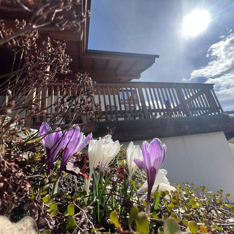 Love of the mountains with a sauna, fireplace, cinema room, summer menu - Haus mit 4 Schlafzimmern - 26