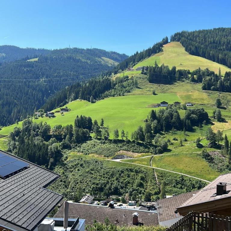 Love of the mountains with a sauna, fireplace, cinema room, summer menu - Haus mit 4 Schlafzimmern - 81