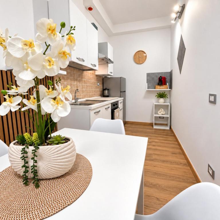 NONNA ELISA I Apartment - Cozy & quiet stay, comfortable home in a peaceful residential area, near Battistini Metro A, easy Vatican access & direct connection to Rome city centre - Two-Bedroom Deluxe Apartment - 20