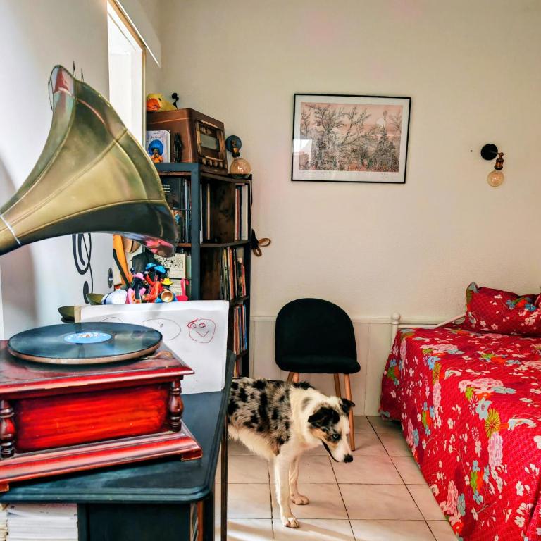Appartement près de la plage, un coin paradis ! - Appartamento con 3 Camere da Letto - 19