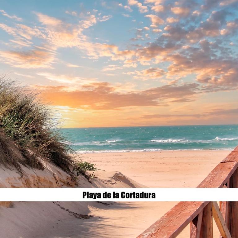 Apartalux Playa La Caleta - Apartamento de 2 dormitorios - 39