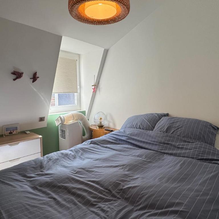 Appartement 2 chambres au cœur de Trouville - Appartement - 7