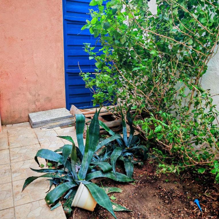 Appartement près de la plage, un coin paradis ! - Appartamento con 3 Camere da Letto - 27