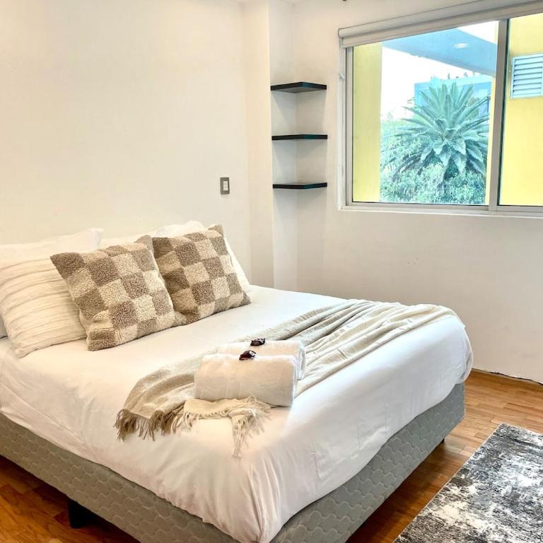Beautiful and Comfortable in Condesa - Appartement 1 Chambre - 6