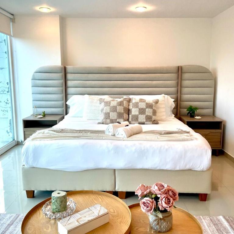 Beautiful and Comfortable in Condesa - Appartement 1 Chambre - 14