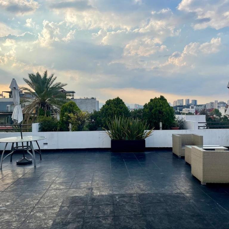 Beautiful and Comfortable in Condesa - Appartement 1 Chambre - 24