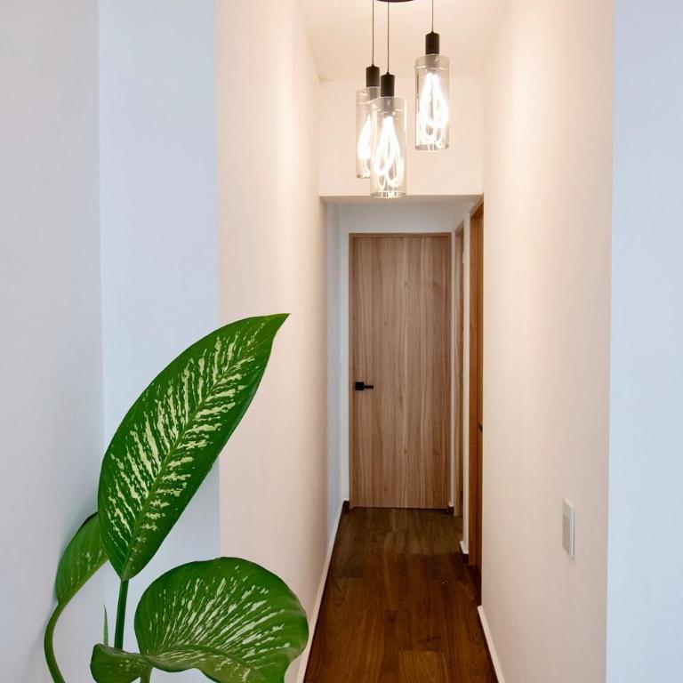 Between Cafes and Galleries, Roma Norte, 3 people - Apartment mit 2 Schlafzimmern - 40