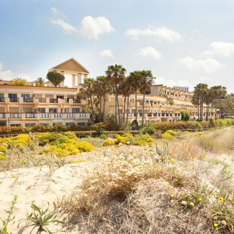Romana Playa 555 - Estudio Doble Deluxe - 14