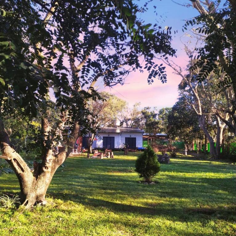 Casa 113 Salta - Apartamento de 2 dormitorios con vistas al jardín - 3