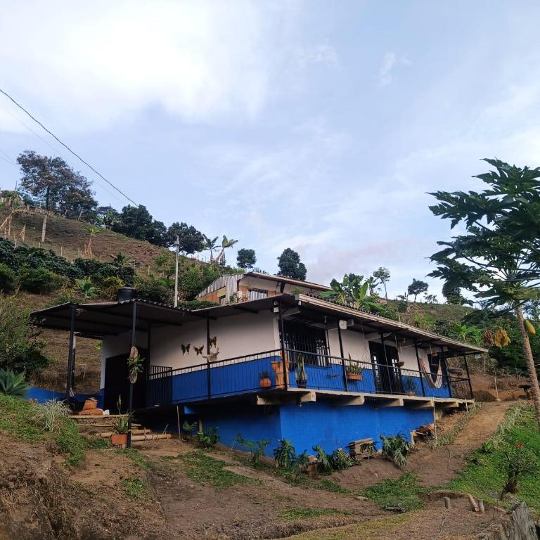 Finca la Alejandría - Apartamento de 1 dormitorio - 1