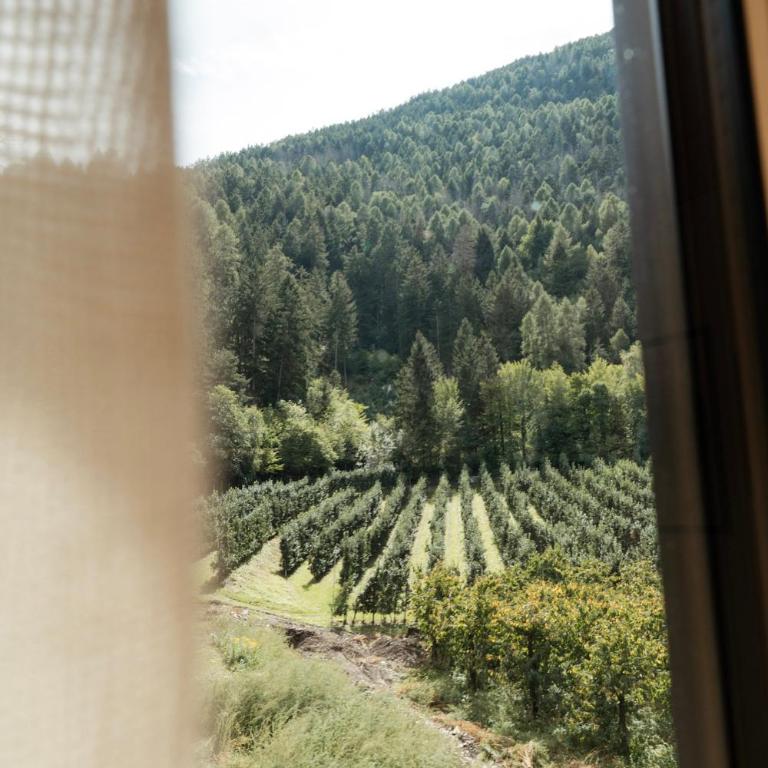 Putzenhof Apartments - Appartamento Premium con 1 Camera da Letto - 15