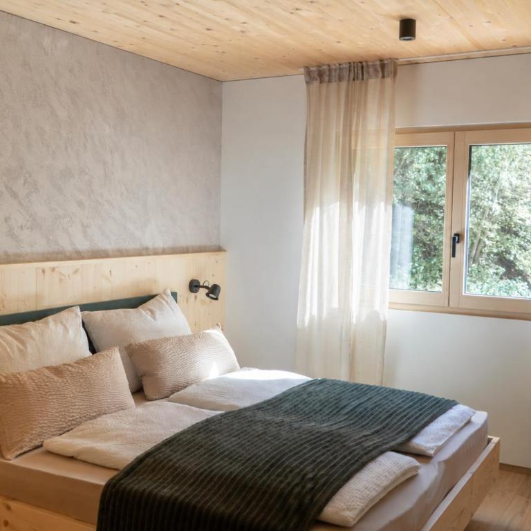 Putzenhof Apartments - Appartamento Premium con 1 Camera da Letto - 1