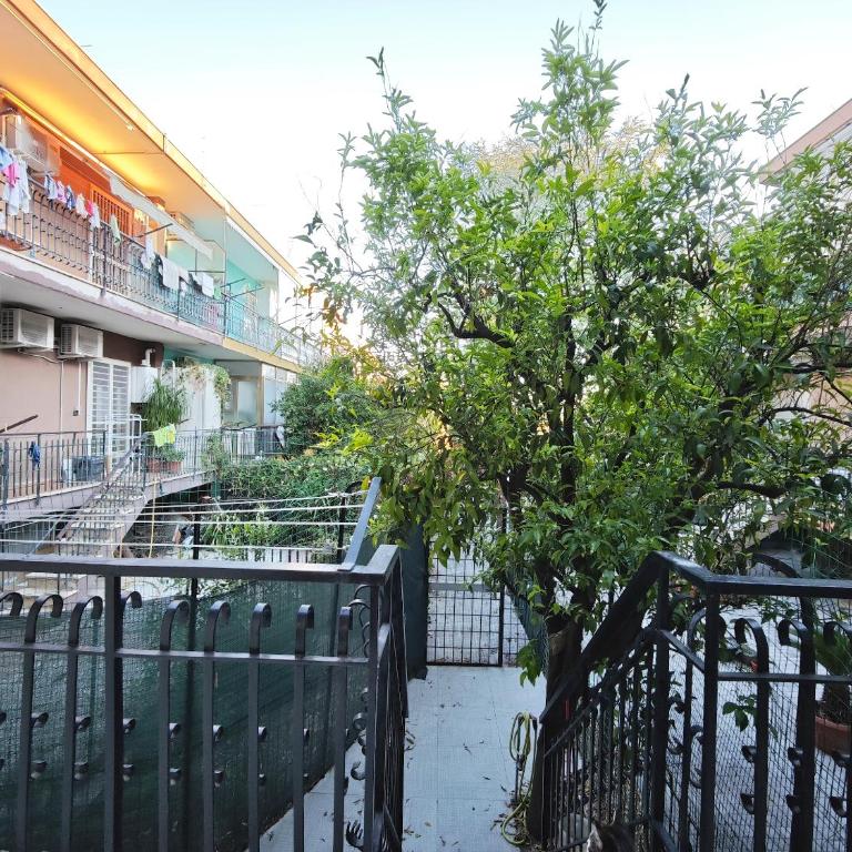 Finella - Appartamento con 2 Camere da Letto - 38