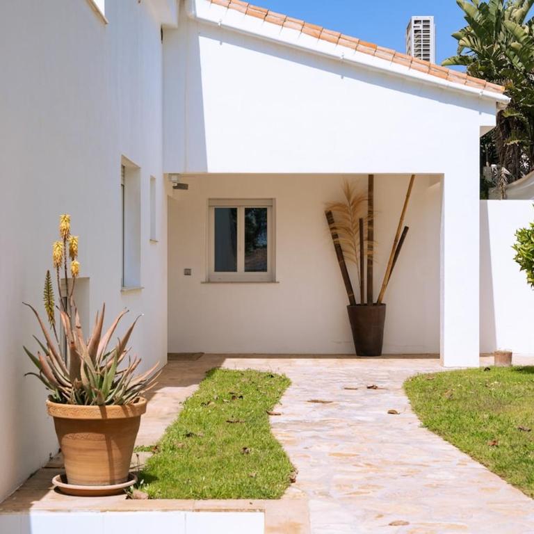 Villa Madrugada, beachside villa in Costabella - Villa - 9
