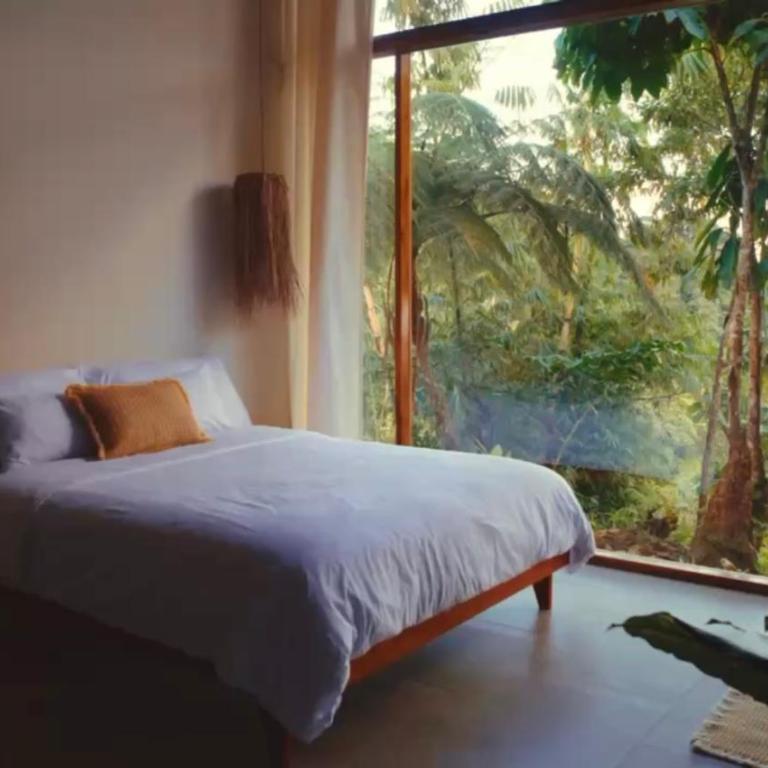 Wild Wasi - Private Jungle Villa - Three-Bedroom Villa - 64