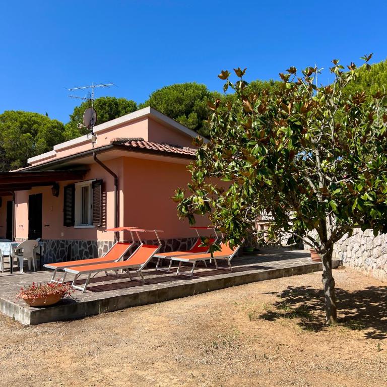 Casale La Magnolia - Capo Perla Apartments - One-Bedroom Apartment with Garden View - 5