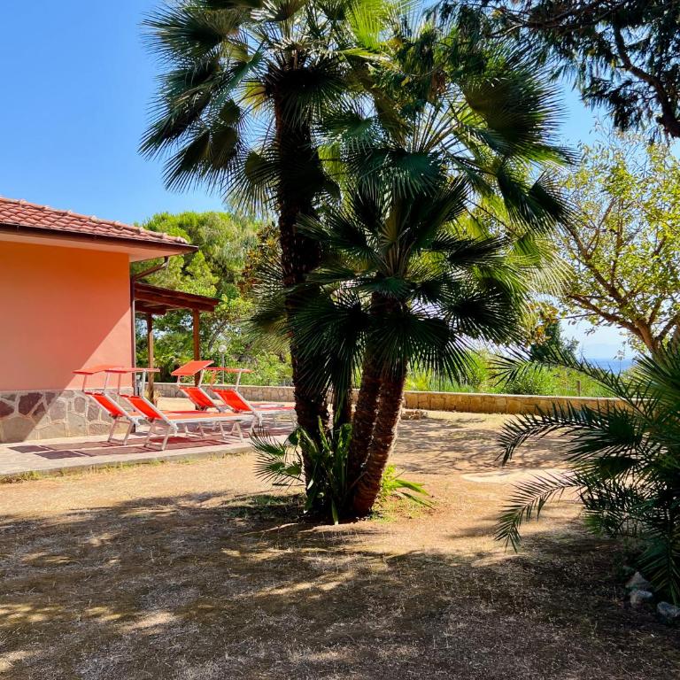 Casale La Magnolia - Capo Perla Apartments - One-Bedroom Apartment with Garden View - 28