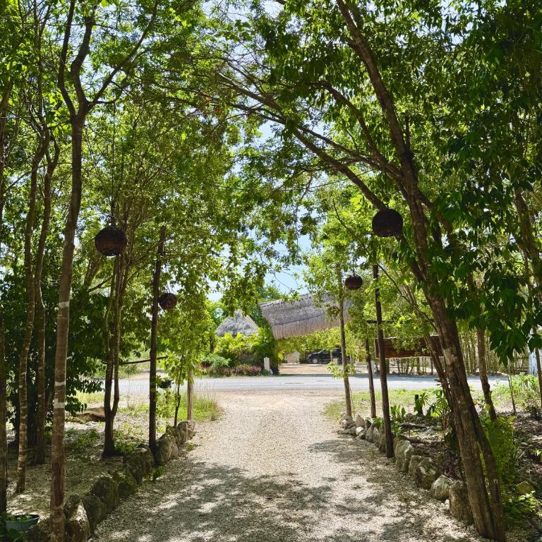 La Selva Apartments Tulum - Appartement 2 Chambres avec Balcon - 56