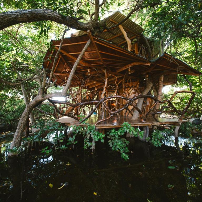 Simbiosis Treehouse Lower Suite - Apartamento de 1 dormitorio - 22