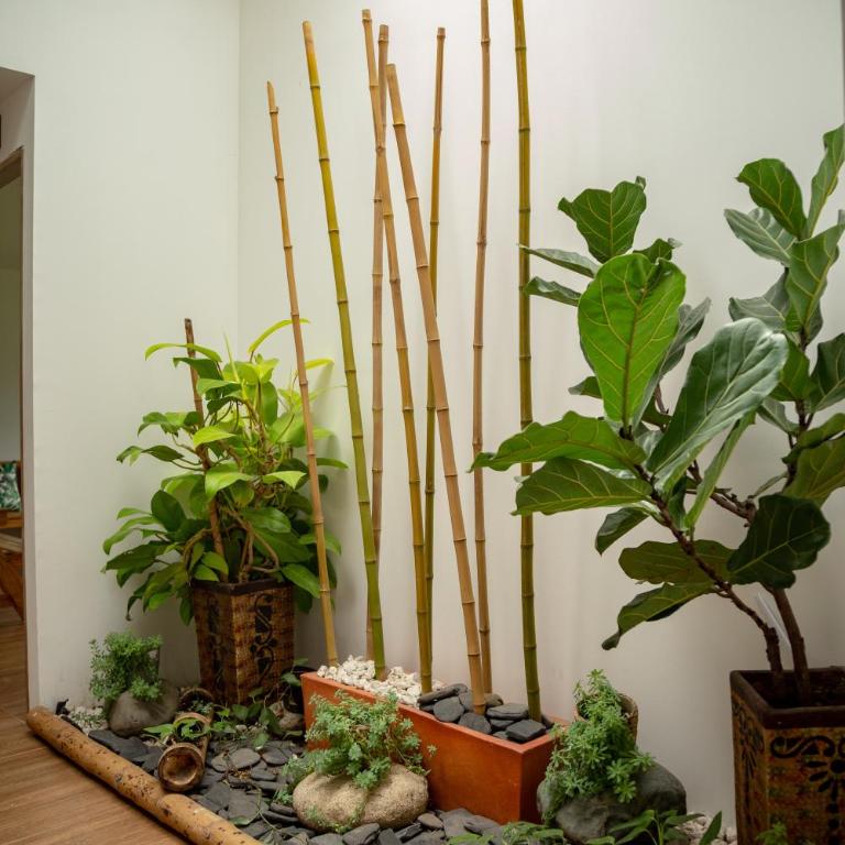 loft grupo y parejas AZUCENAS - Apartamento de 1 dormitorio - 24