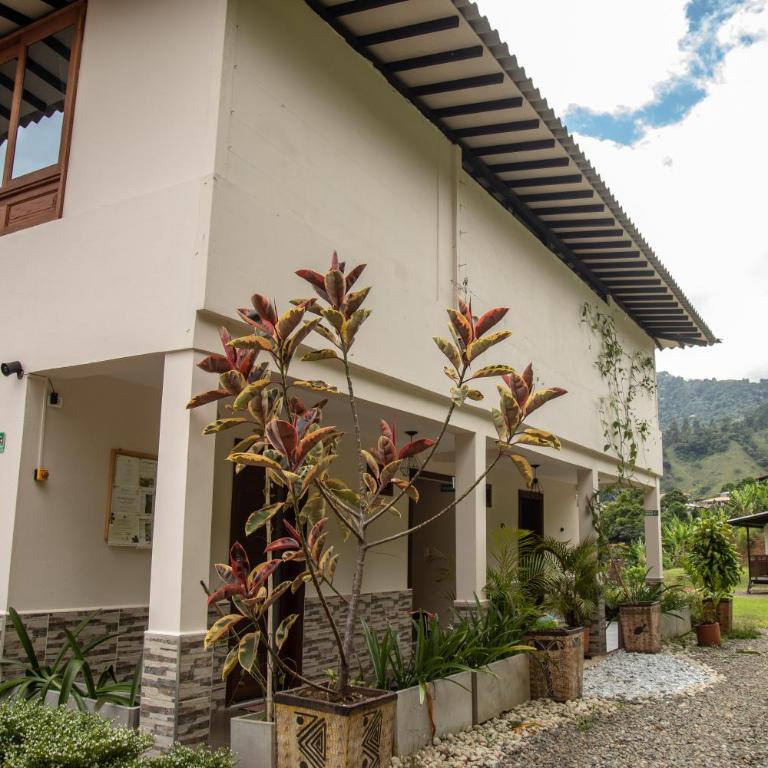 loft grupo y parejas AZUCENAS - Apartamento de 1 dormitorio - 25