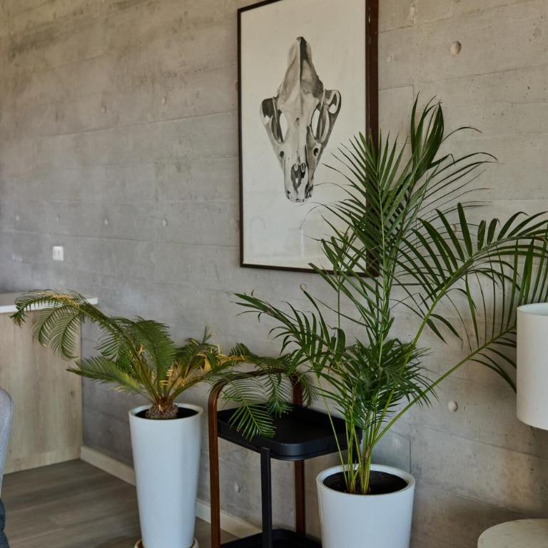 Paracas Best Rated "Casa Ravello" - Three-Bedroom Apartment - 36